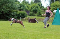 /album/fotogalerie/a1507914-664512817019373-9097077489421249170-n-jpg/