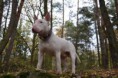 /album/fotogalerie-arius/a24251991-1148783598588299-248814949-n-jpg/