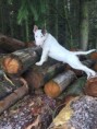 /album/fotogalerie-athilla/a24282139-1148781545255171-1036468535-n-jpg/