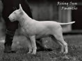 /album/fotogalerie-rising-sun-joes-star/a25465803-1158092540990738-797336968-n-jpg/