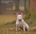 /album/fotogalerie-rising-sun-joes-star/a30221526-1232065876926737-1625332353427570688-n-jpg1/