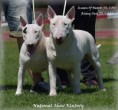 /album/fotogalerie-rising-sun-joes-star/a36467251-1299359356864055-1157084363003789312-n-jpg1/