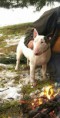 /album/fotogalerie-athilla/a36810099-1306764622790195-3751555161693093888-n-jpg/