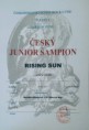 /album/fotogalerie-rising-sun-joes-star/a47488904-2228777257443687-426328851916783616-n-jpg1/