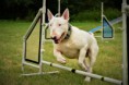/album/fotogalerie-rising-sun-joes-star/a69472315-2983313181685658-5995538186439229440-n-jpg/