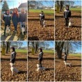 /album/fotogalerie-rising-sun-joes-star/258993546-317356206607763-1937855979789119091-n-jpg1/